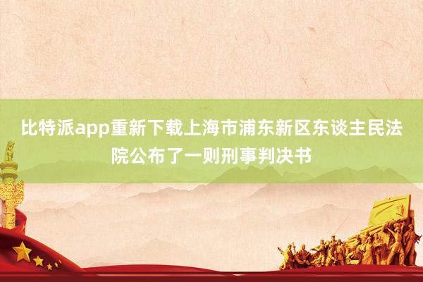 比特派app重新下载上海市浦东新区东谈主民法院公布了一则刑事判决书